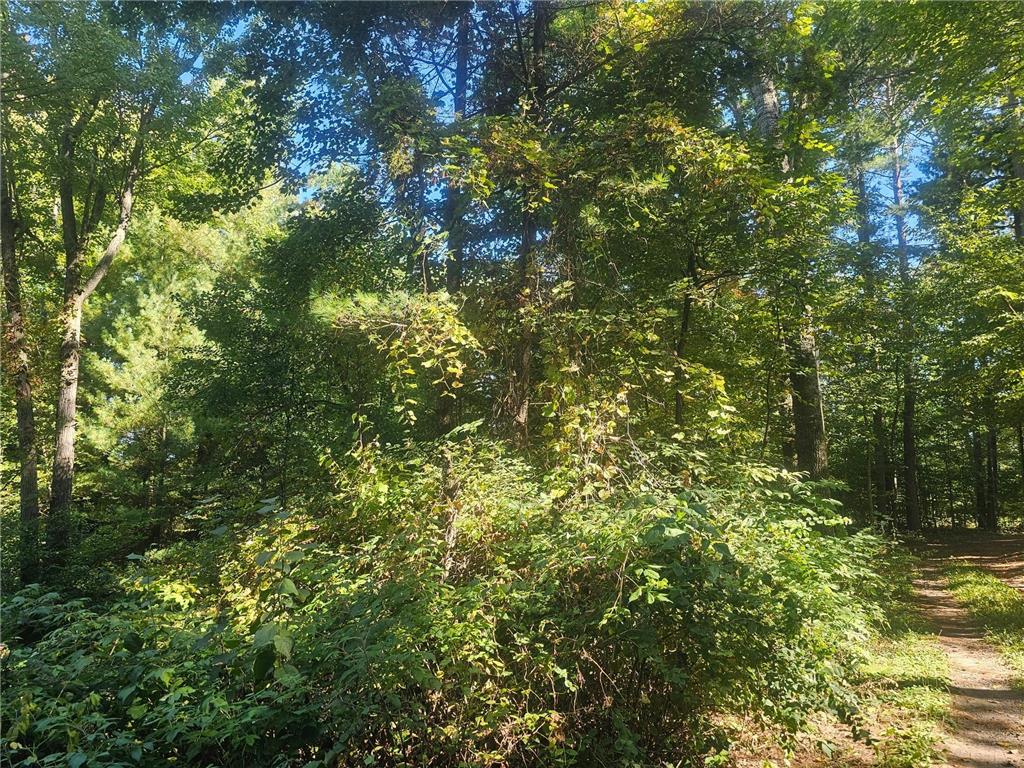 XX E Bass Lake Road Meenon Twp WI 54893 - Bass Lake 6798327 image9