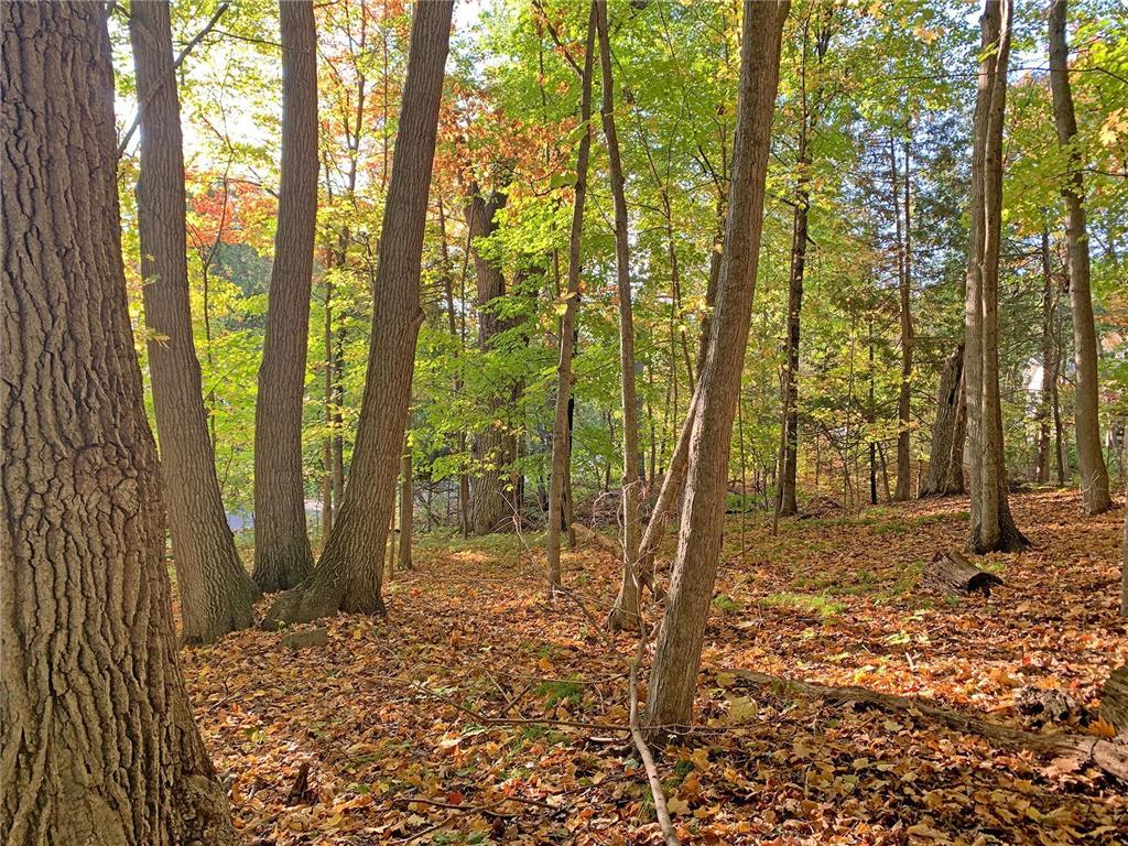 XX Folsom Street Taylors Falls MN 55084 6446242 image1