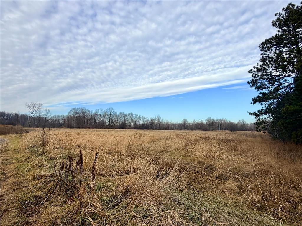 XX Forest Boulevard Rush City MN 55069 7047156 image1