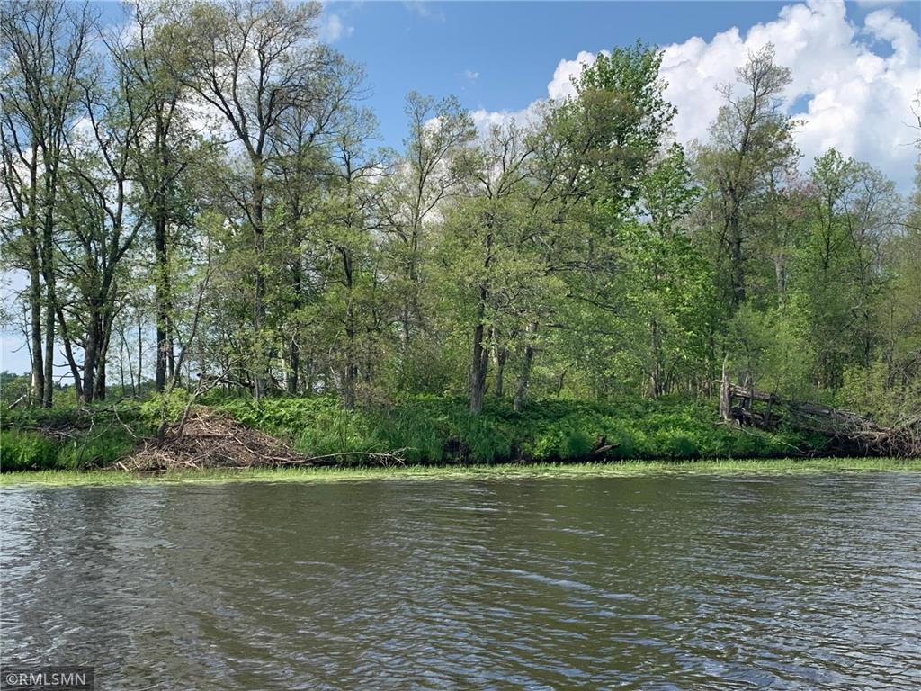 XX Island Lot, McGregor, MN, 55760 MLS 6395575 Edina Realty