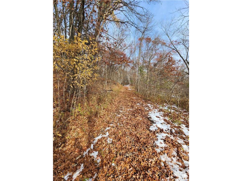 XX Kerry Street NW, Springvale Twp, MN, 55008 | MLS: 6455260 | Edina Realty