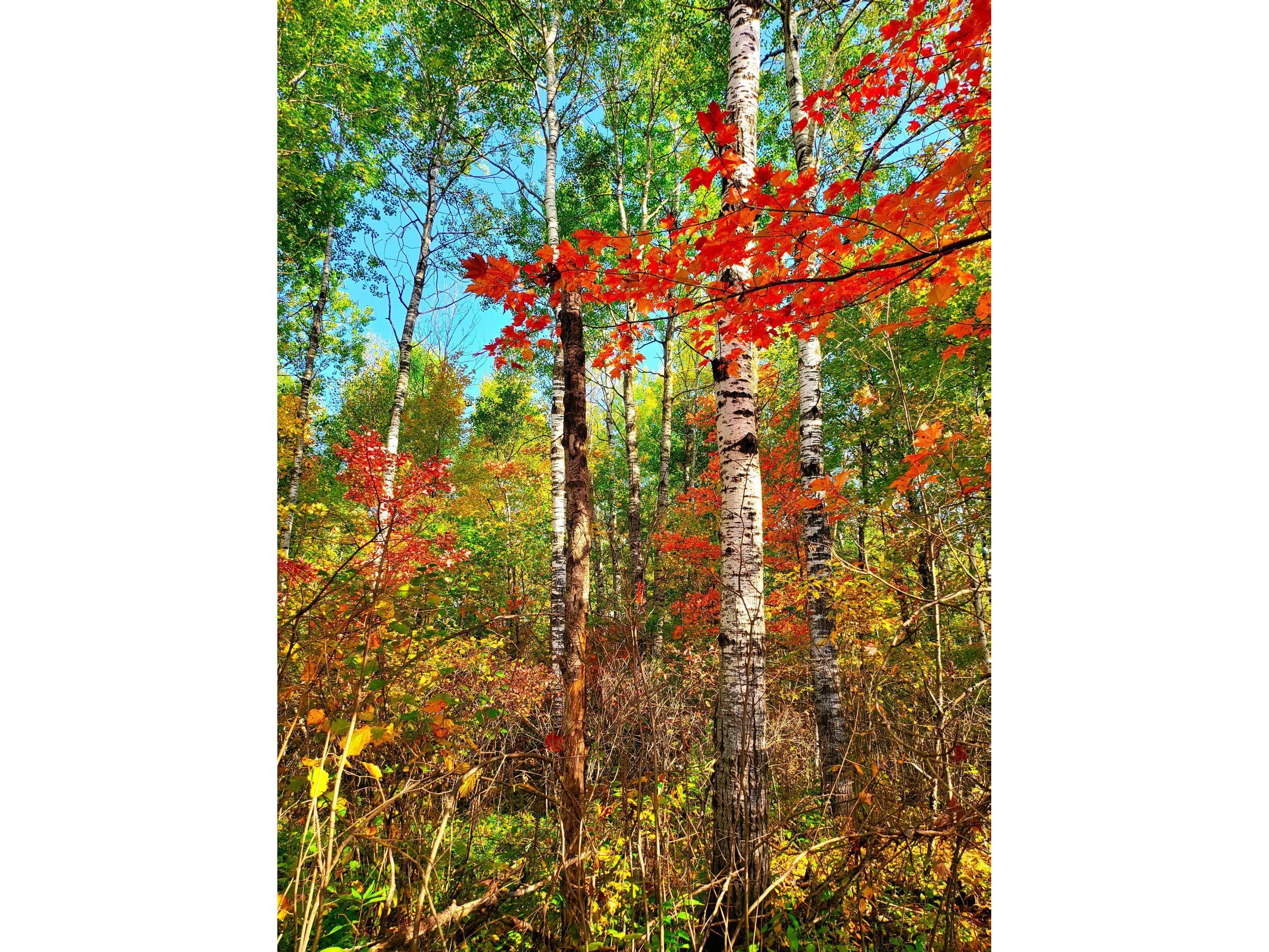 XX Klejeski Road Sandstone MN 55072 6090978 image1