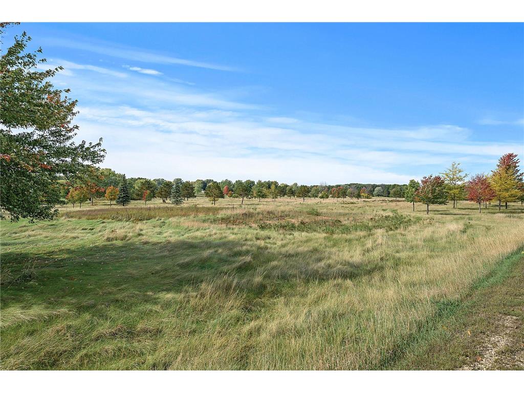 XX L4B3 65th Street Denmark Twp MN 55033 6624355 image22