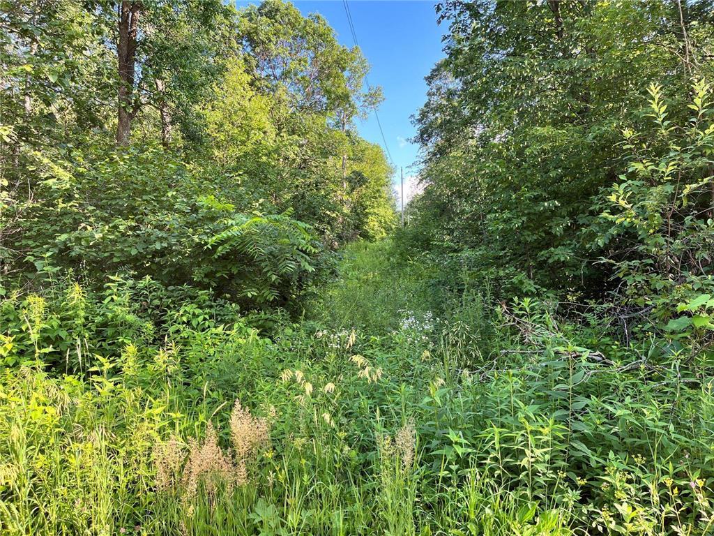 XX Lake Sylvia Road Melrose Twp MN 56352 6390707 image1