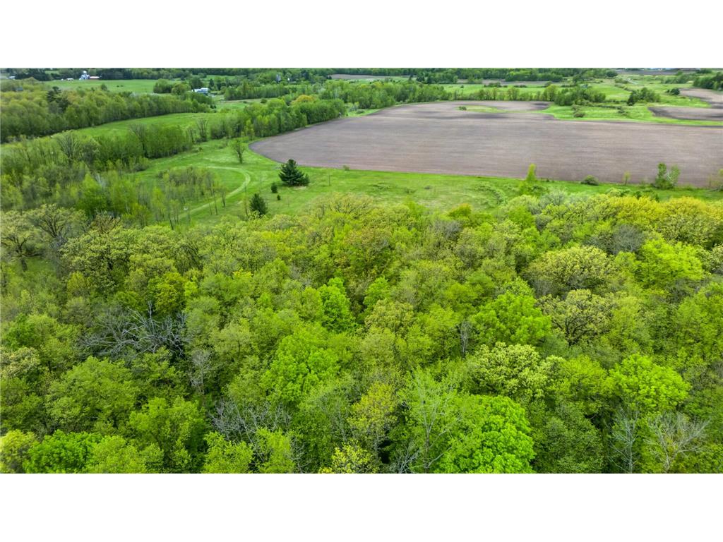 XX Linden Tree Rd Grasston MN 55030 7085271 image3