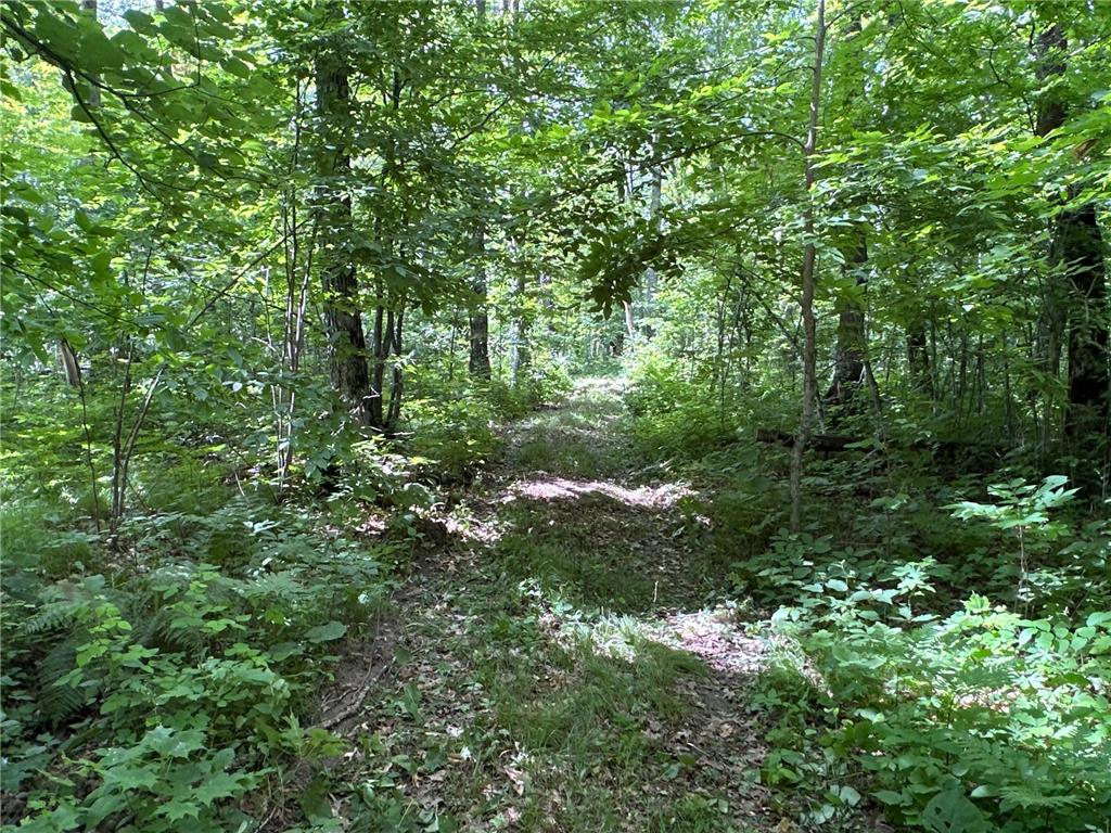 XX Merlin Road Dailey Twp MN 56338 6402949 image1