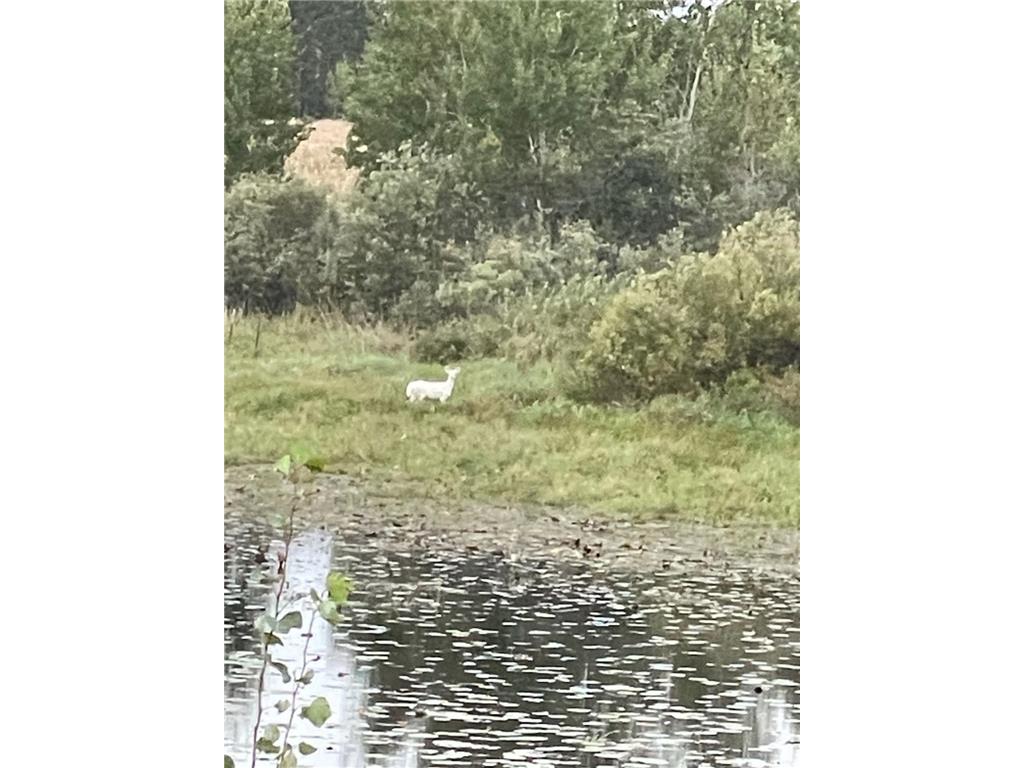 XX Perch Lake Evergreen Twp WI 54801 6428299 image1