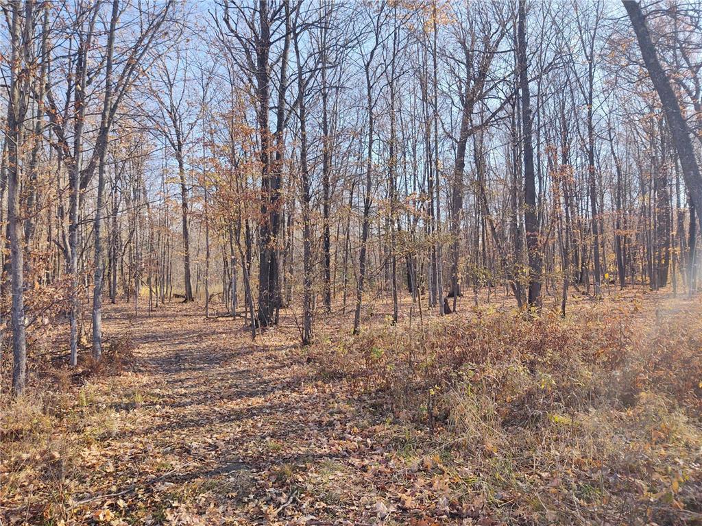 XX Platte Lake Lane, Hillman, MN, 56338 MLS 6300758 Edina Realty