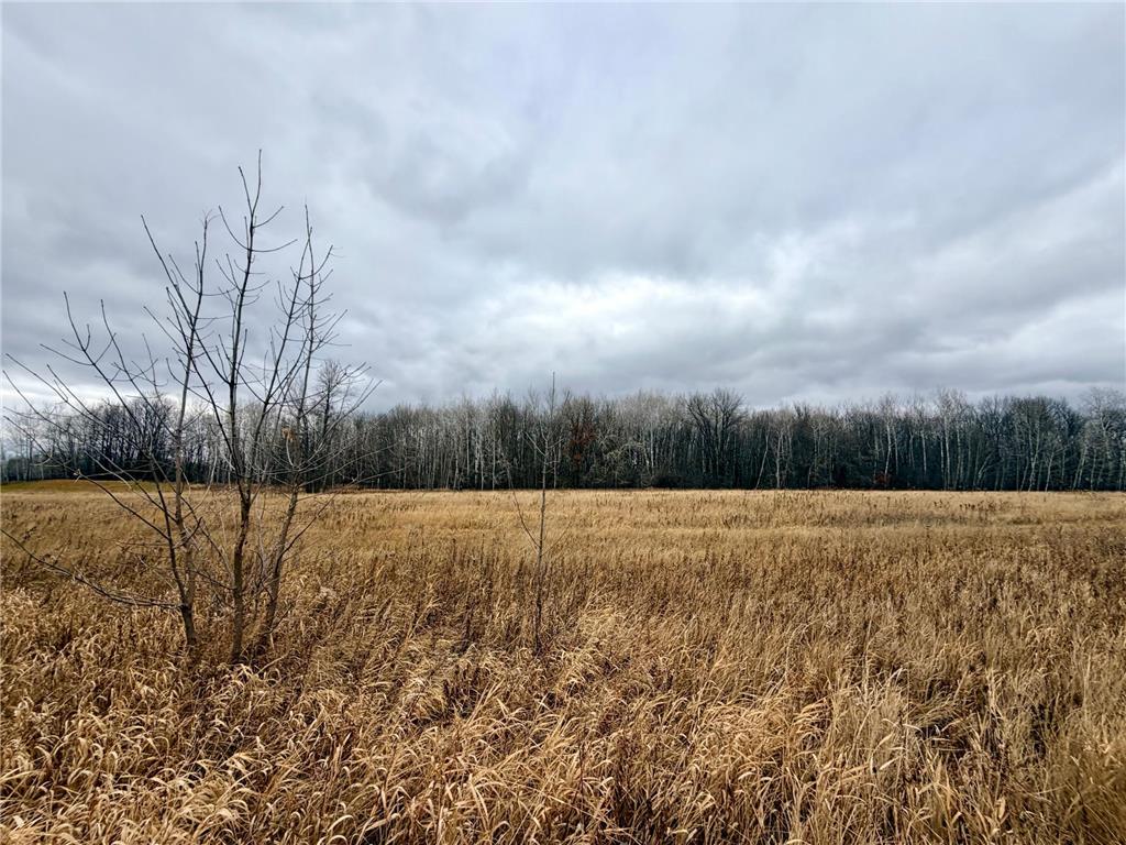 XX Pole Road Grasston MN 55030 6805310 image1