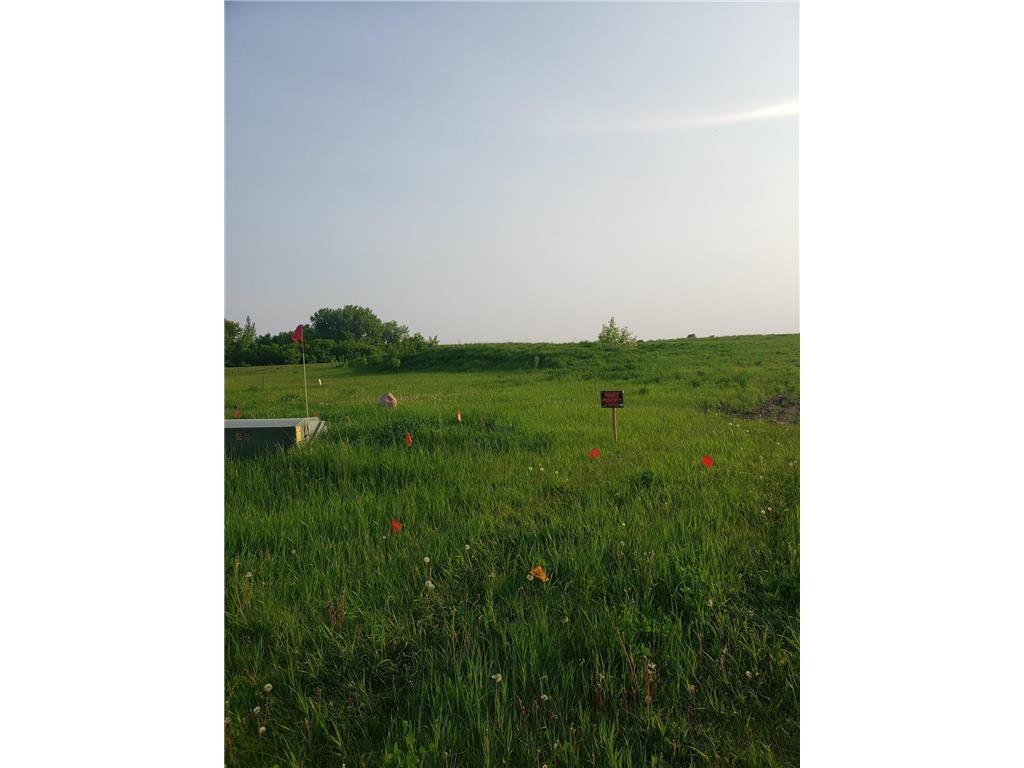 XX Prairie Ridge Lane, Lester Prairie, MN, 55354 MLS 6386675 Edina