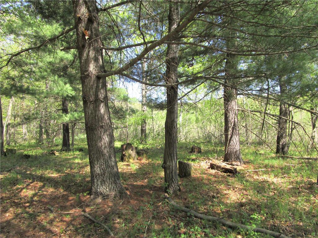 XX S Long Lake Rd Siren WI 54872 7075609 image4