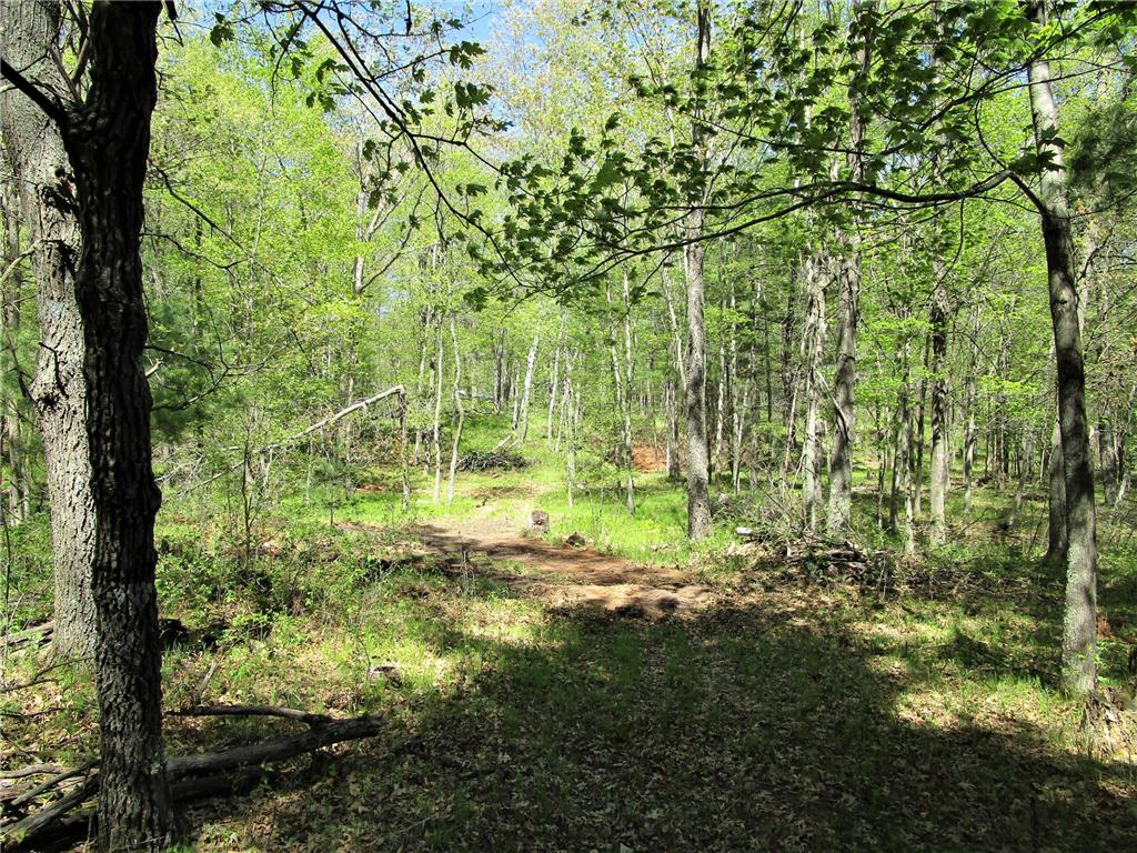 XX S Long Lake Rd Siren WI 54872 7075609 image5