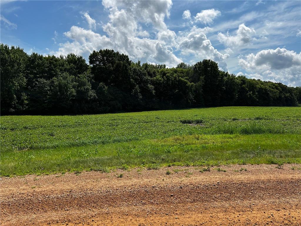 XX TBD Mellgren Lane Dahlgren Twp MN 55318 6751841 image3