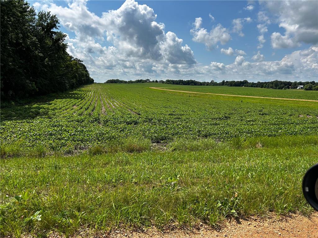 XX TBD Mellgren Lane Dahlgren Twp MN 55318 6751841 image4