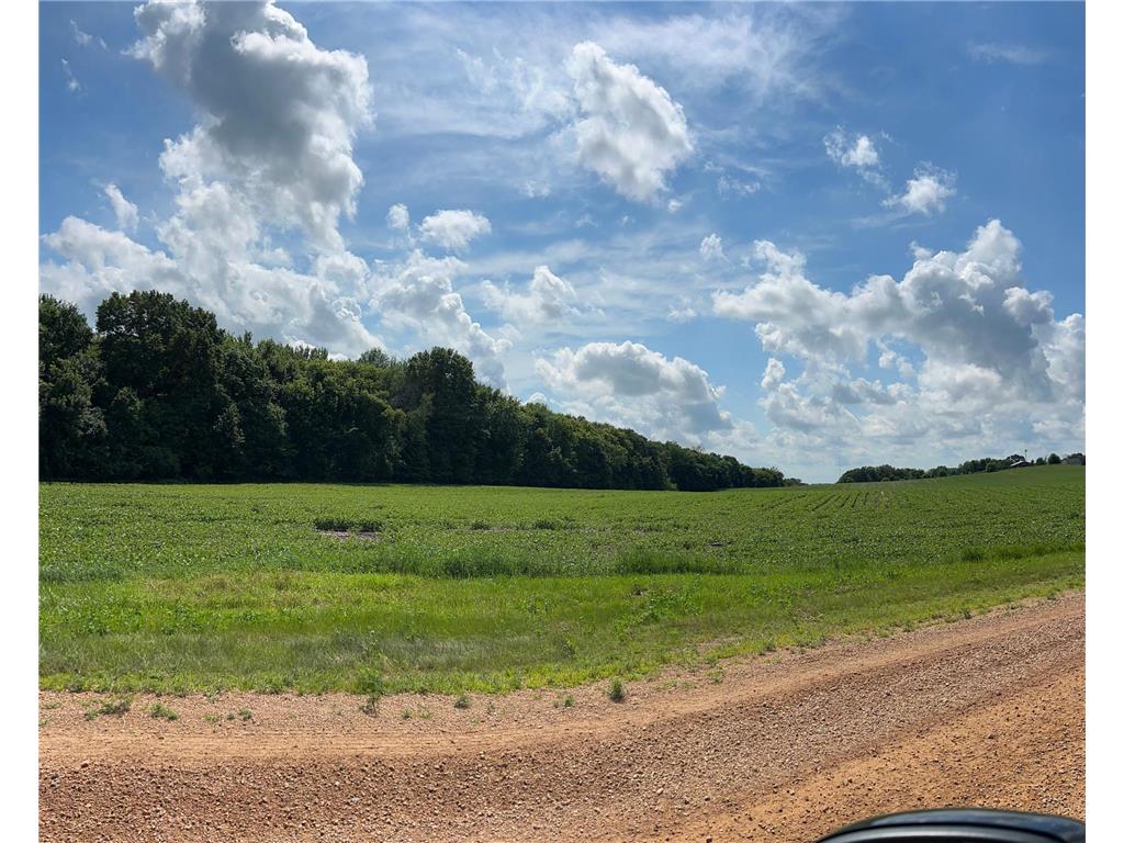 XX TBD Mellgren Lane Dahlgren Twp MN 55318 6751841 image5