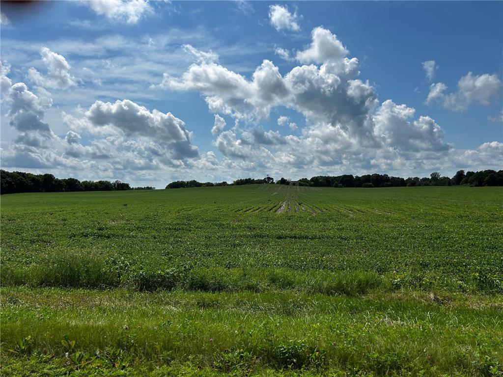 XX TBD Mellgren Lane Dahlgren Twp MN 55318 6751841 image6