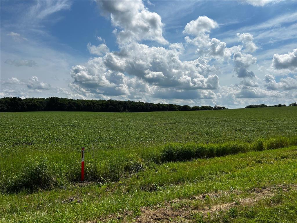 XX TBD Mellgren Lane Dahlgren Twp MN 55318 6751841 image7