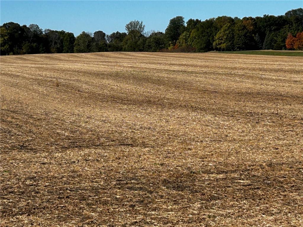 XX TBD Mellgren Lane Dahlgren Twp MN 55318 6751841 image8