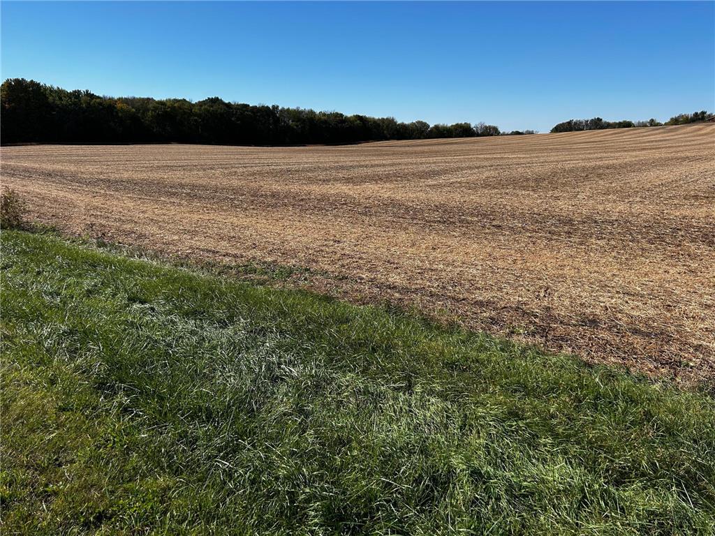 XX TBD Mellgren Lane Dahlgren Twp MN 55318 6751841 image9