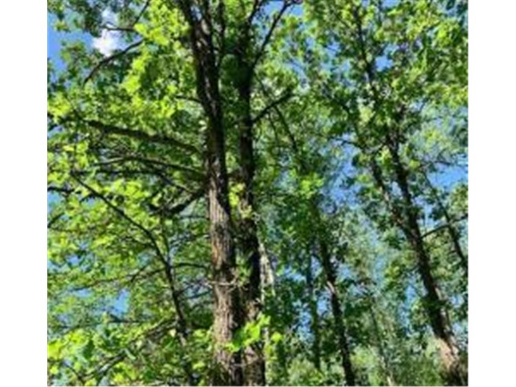 XX Vink Road Sandstone MN 55072 6436824 image1