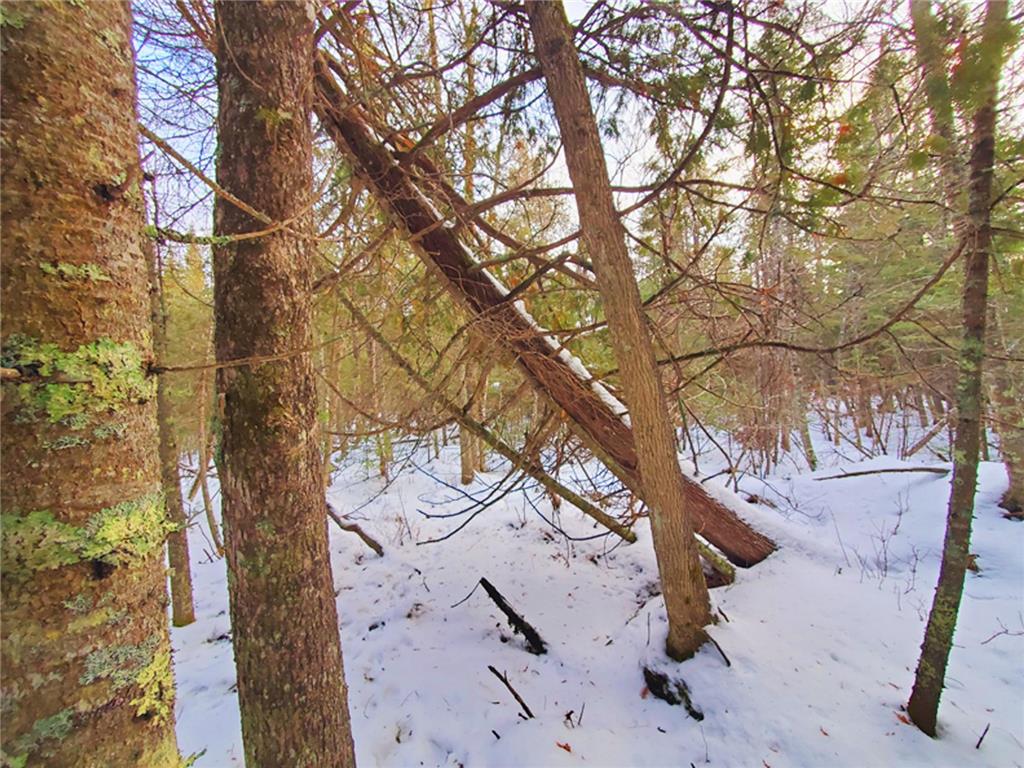 XX10 Lavaque Road, Canosia Twp, MN, 55802 MLS 6481946 Edina Realty