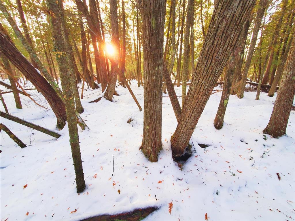 XX10 Lavaque Road, Canosia Twp, MN, 55802 MLS 6481946 Edina Realty