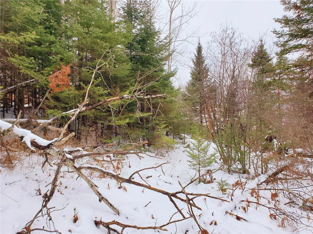 XX10 Lavaque Road, Canosia Twp, MN, 55802 MLS 6481946 Edina Realty