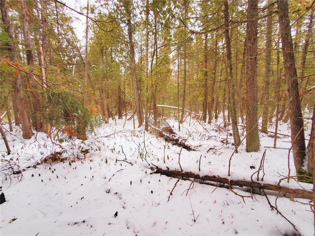 XX10 Lavaque Road, Canosia Twp, MN, 55802 MLS 6481946 Edina Realty