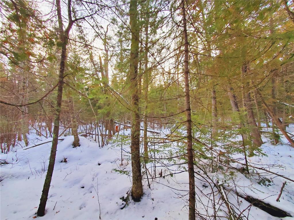 XX10 Lavaque Road, Canosia Twp, MN, 55802 MLS 6481946 Edina Realty