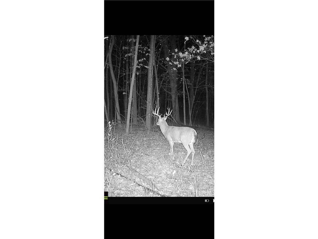 XX2 County Road 3 Holdingford MN 56340 - Spunk Creek 6713256 image3