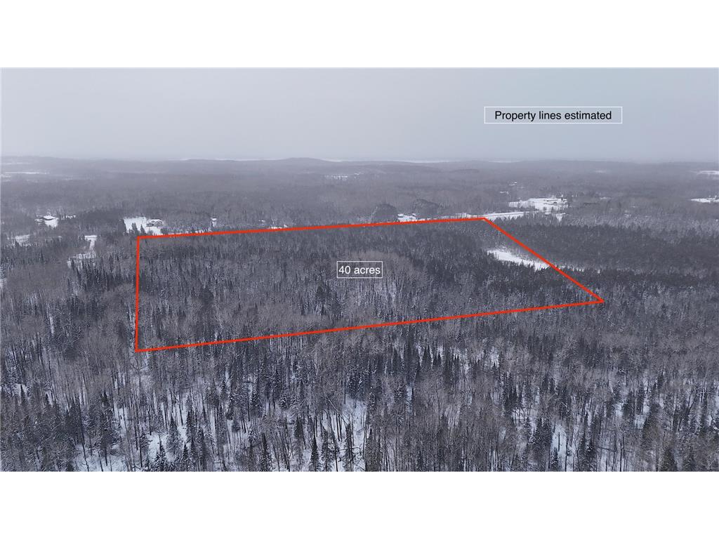 XX40 Lavaque Road Canosia Twp MN 55802 7006928 image1