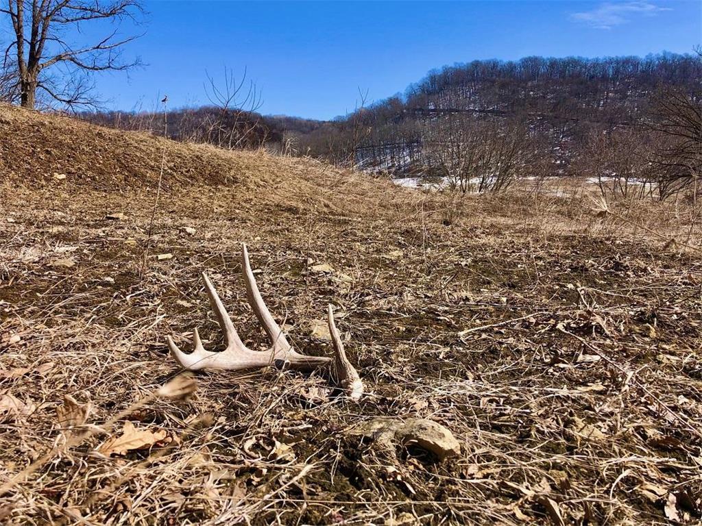 XX57 East Burns Valley Rd, Wilson Twp, MN, 55987 MLS 6351256 Edina