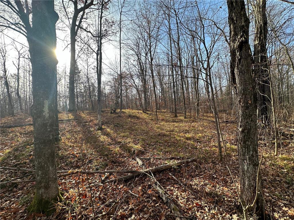 XXA State Hwy 18 Williams Twp MN 55735 6624362 image1