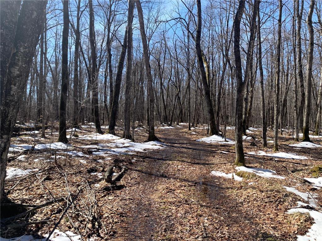 XXN Merlin Road Dailey Twp MN 56338 6516095 image1