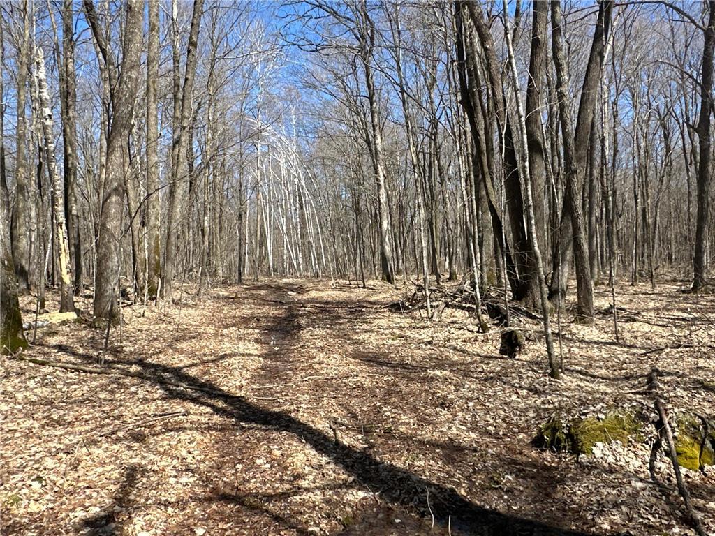 XXS Merlin Road Dailey Twp MN 56338 6516987 image1