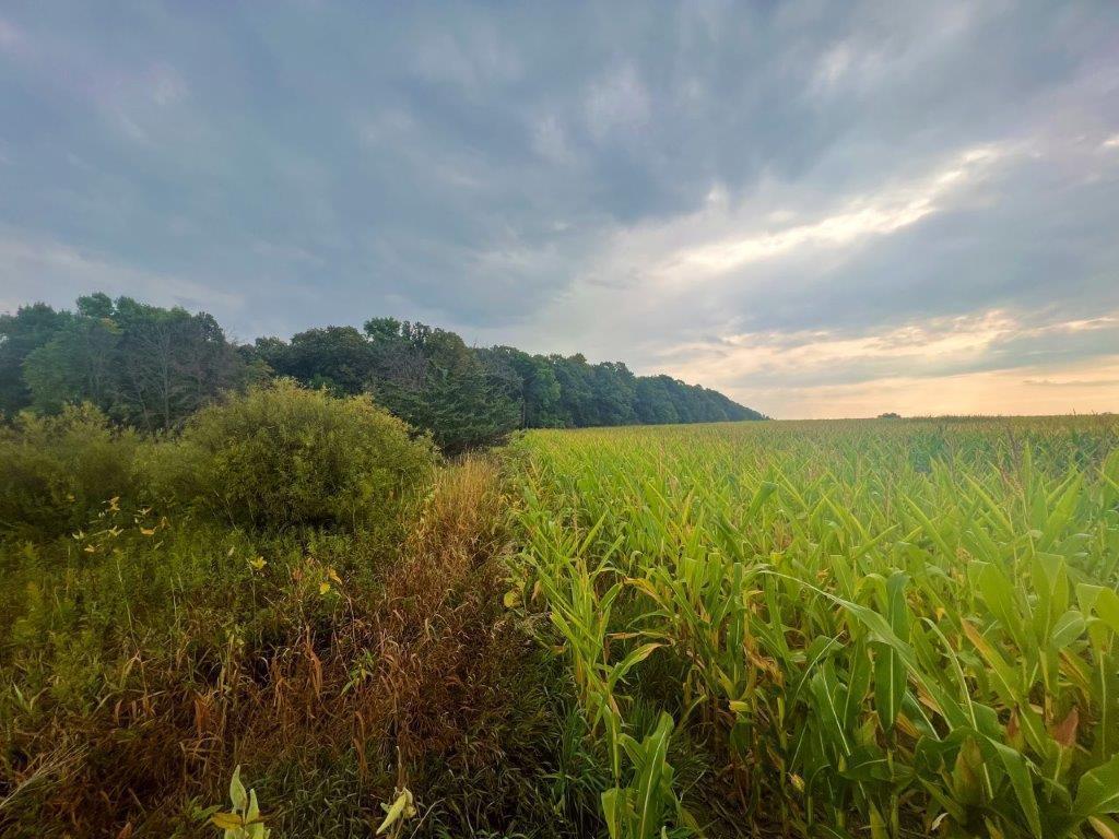 XXX 100th Avenue Brockway Twp MN 56374 6449259 image1