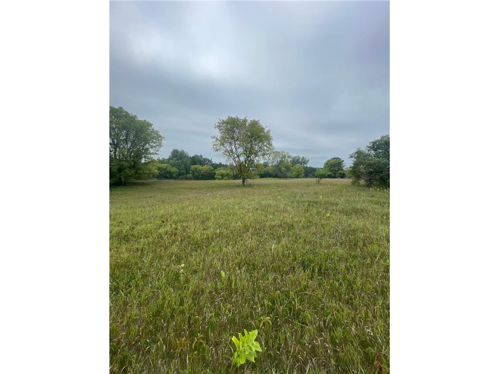 XXX N 105th Grant MN 55115 6423936 image1