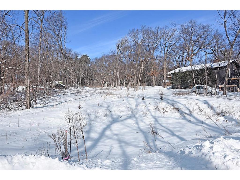 XXX 109th Avenue Palmer Twp MN 55319 - Briggs 6671214 image1