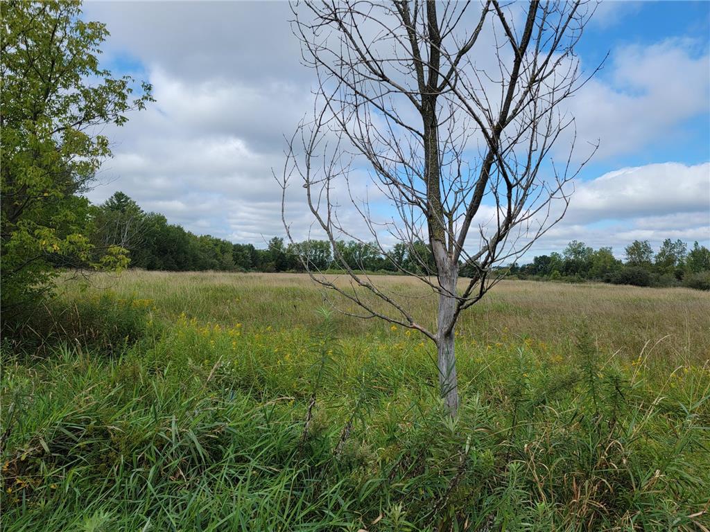 XXX 10th Street NW Pine City MN 55063 6789054 image3