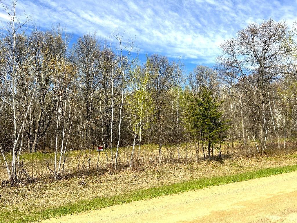 XXX 110th Street Menahga MN 56464 6533346 image1