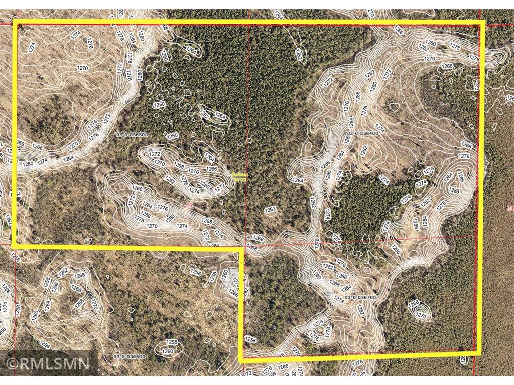 XXX 115th Place Balsam Twp MN 55760 6394081 image1