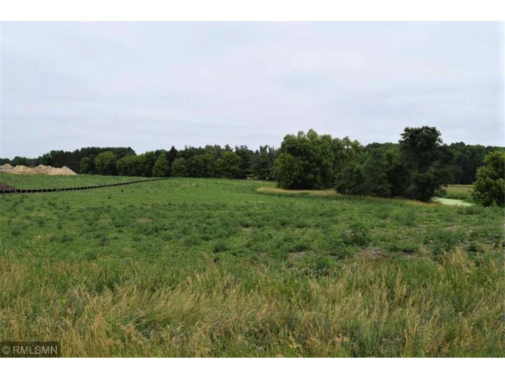 XXX 115th Street SE, Delano, MN 55328 MLS 6231180 Edina Realty