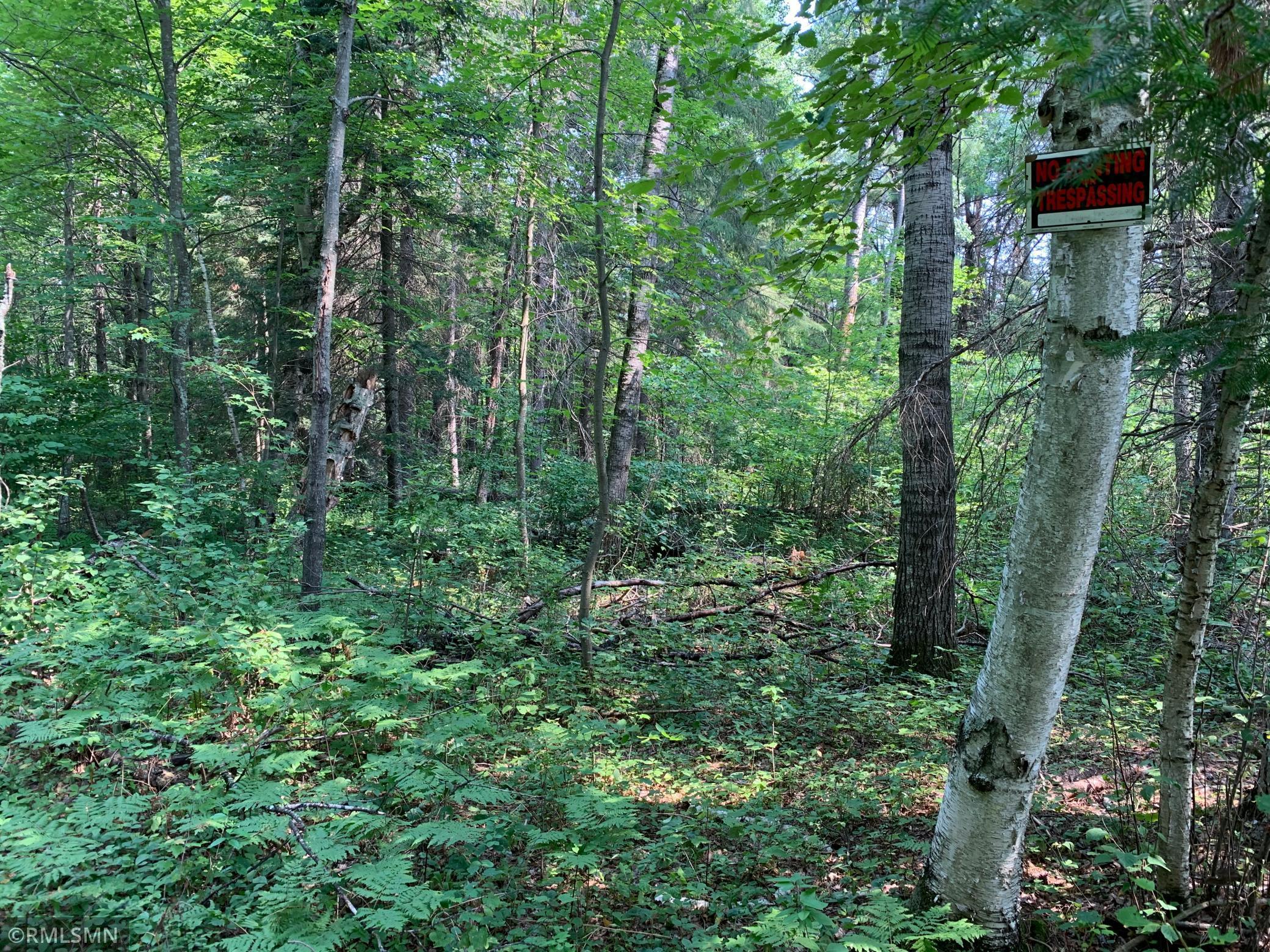 XXX 120th Place, Tamarack, MN 55787 MLS 6027225 Edina Realty