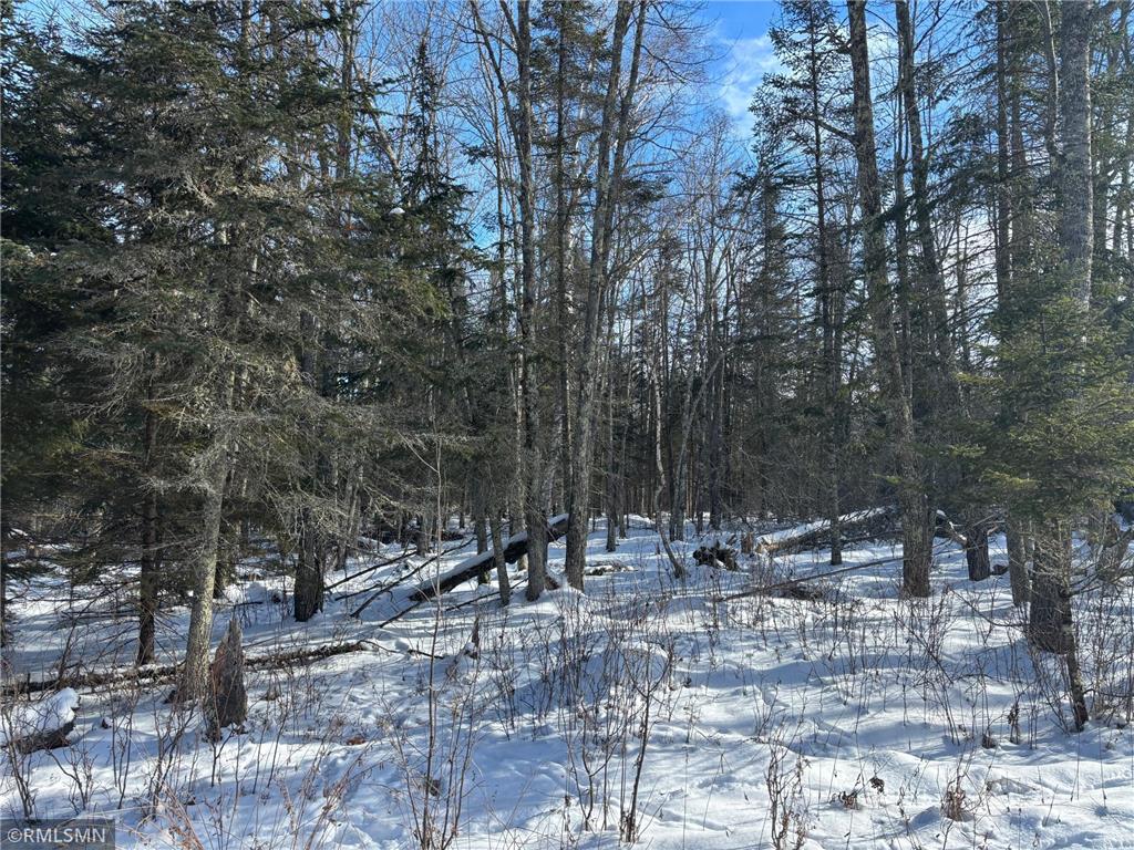 XXX 120th Place Tamarack MN 55787 6652504 image1