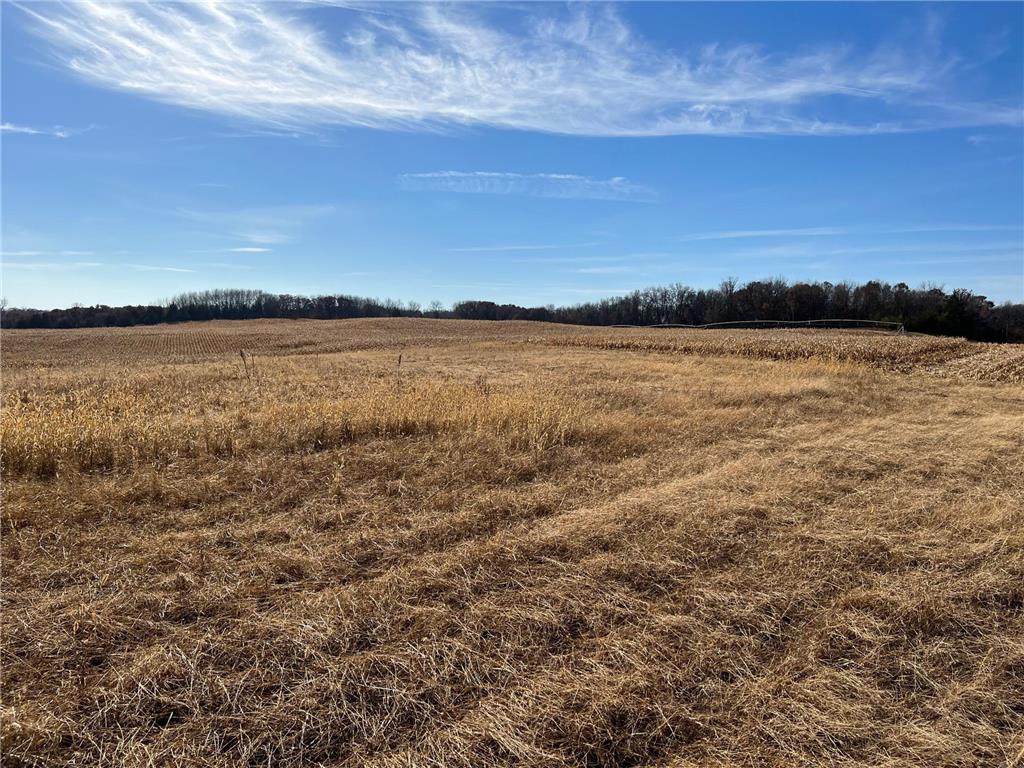 XXX 127th St NE Tract D Monticello MN 55362 6305096 image1