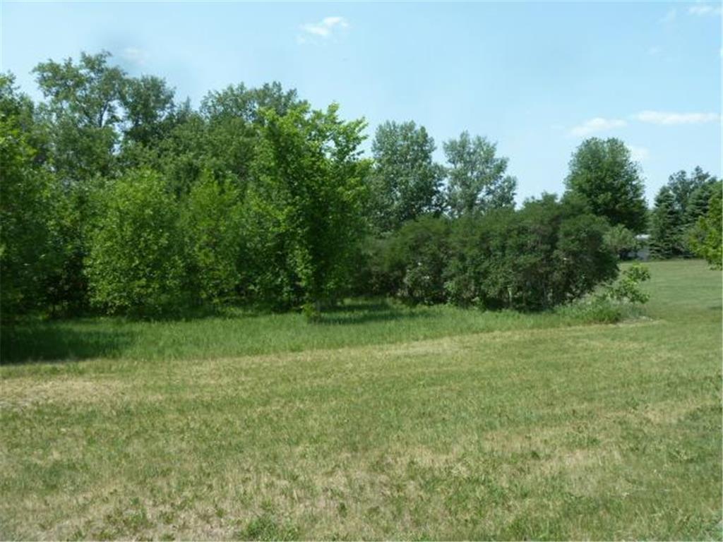 XXX 12th Avenue SE Elbow Lake MN 56531 6386568 image1