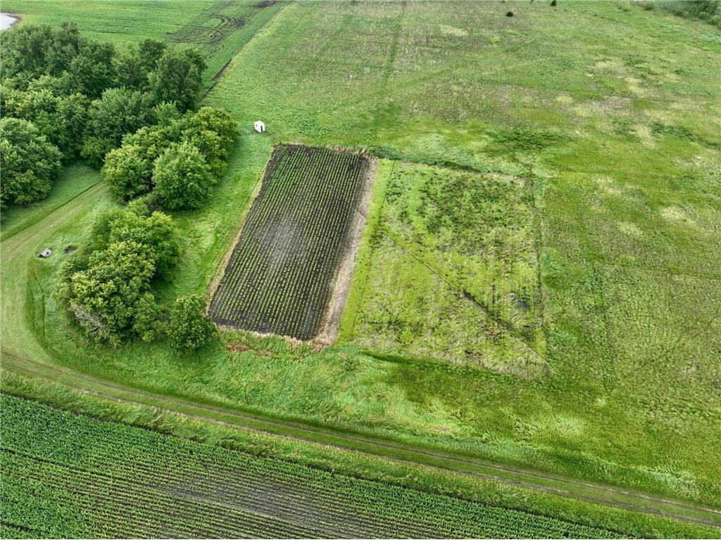 XXX 130th Avenue Fox Lake Twp MN 56181 6777418 image1