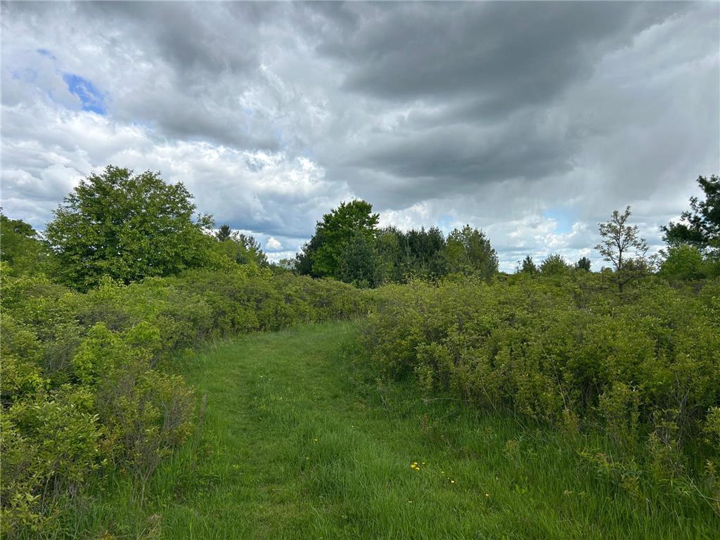 XXX 135th Avenue Beaver Twp WI 54889 6652550 image1