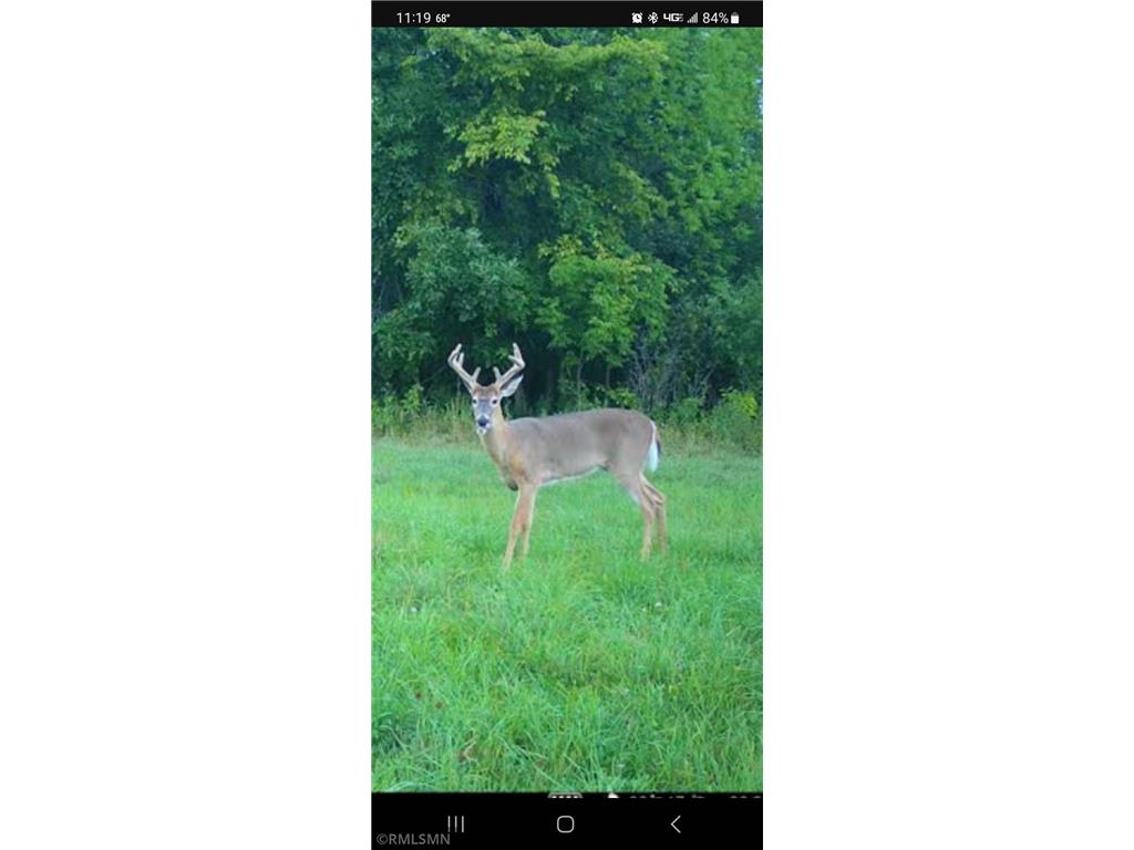 XXX 140th Avenue Ogilvie MN 56358 6387122 image1