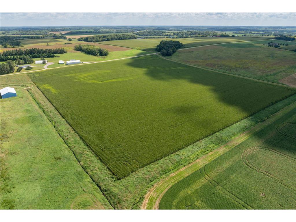 XXX 141st Avenue Montgomery MN 56069 6779770 image1